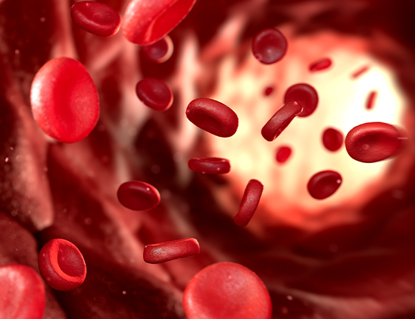 Illustrative image of blood components, used to explain autologous PRP