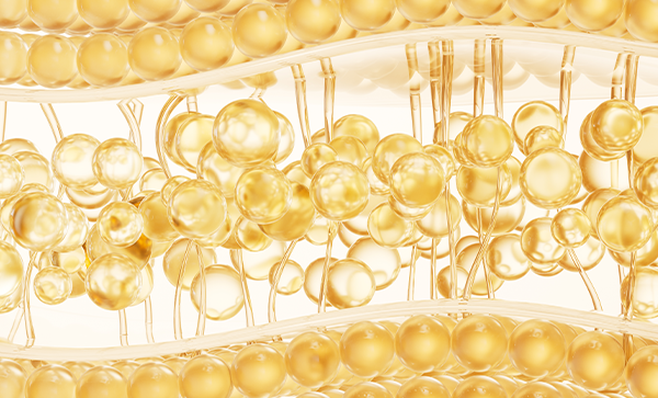 Conceptual illustration of a collagen network within tissue, not a clinical result